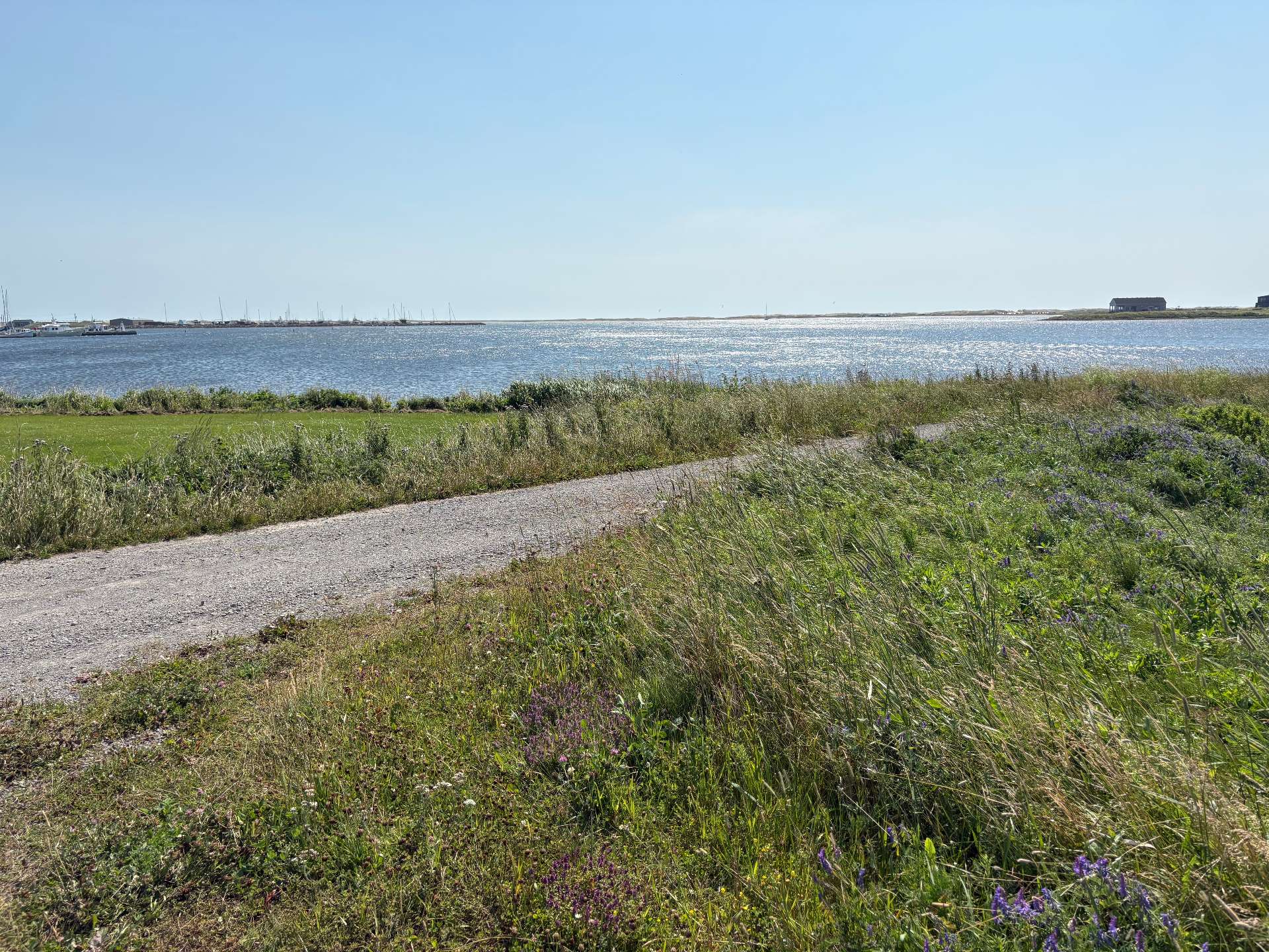 Water view