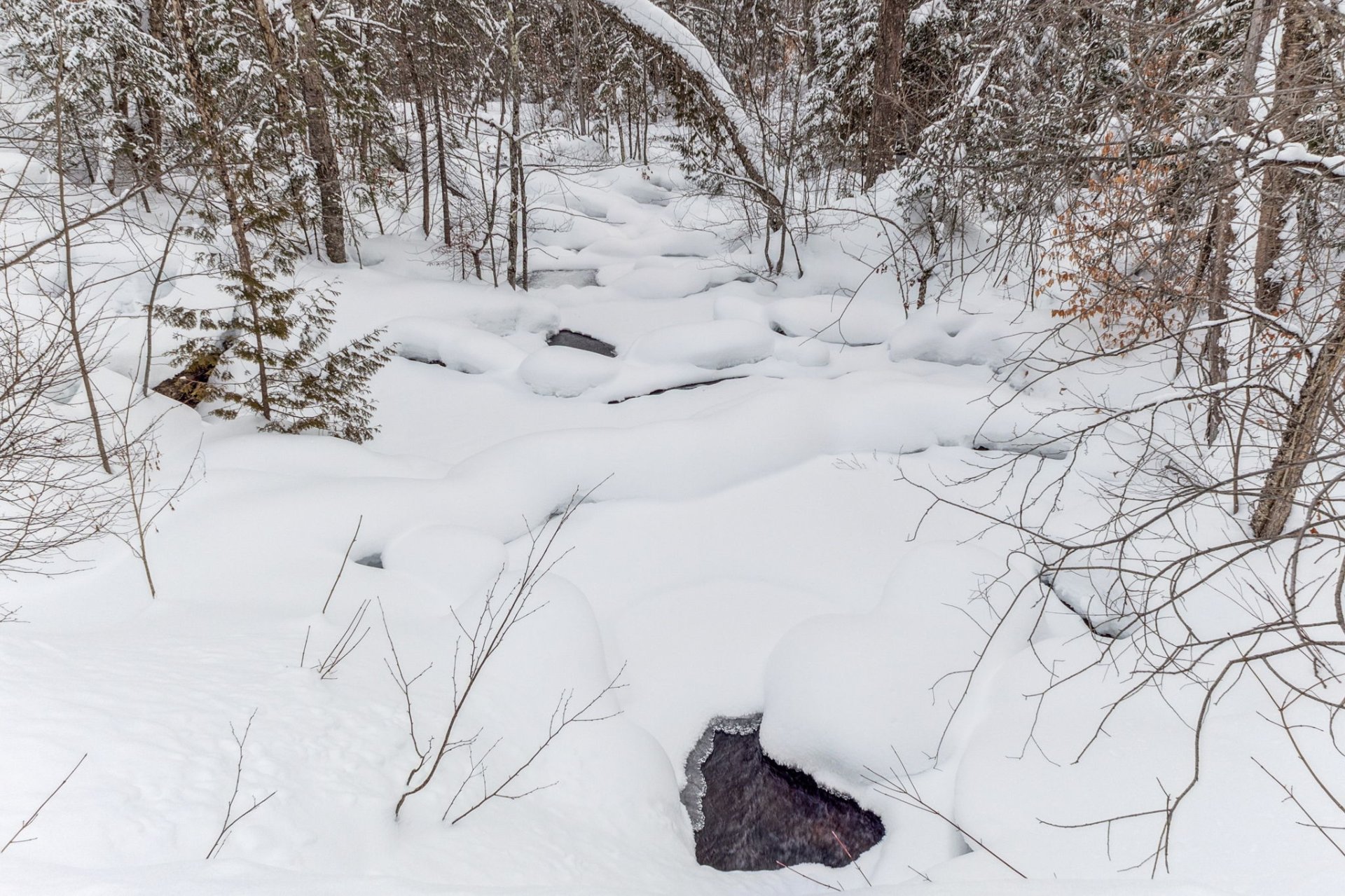 Ruisseau débit à l'année