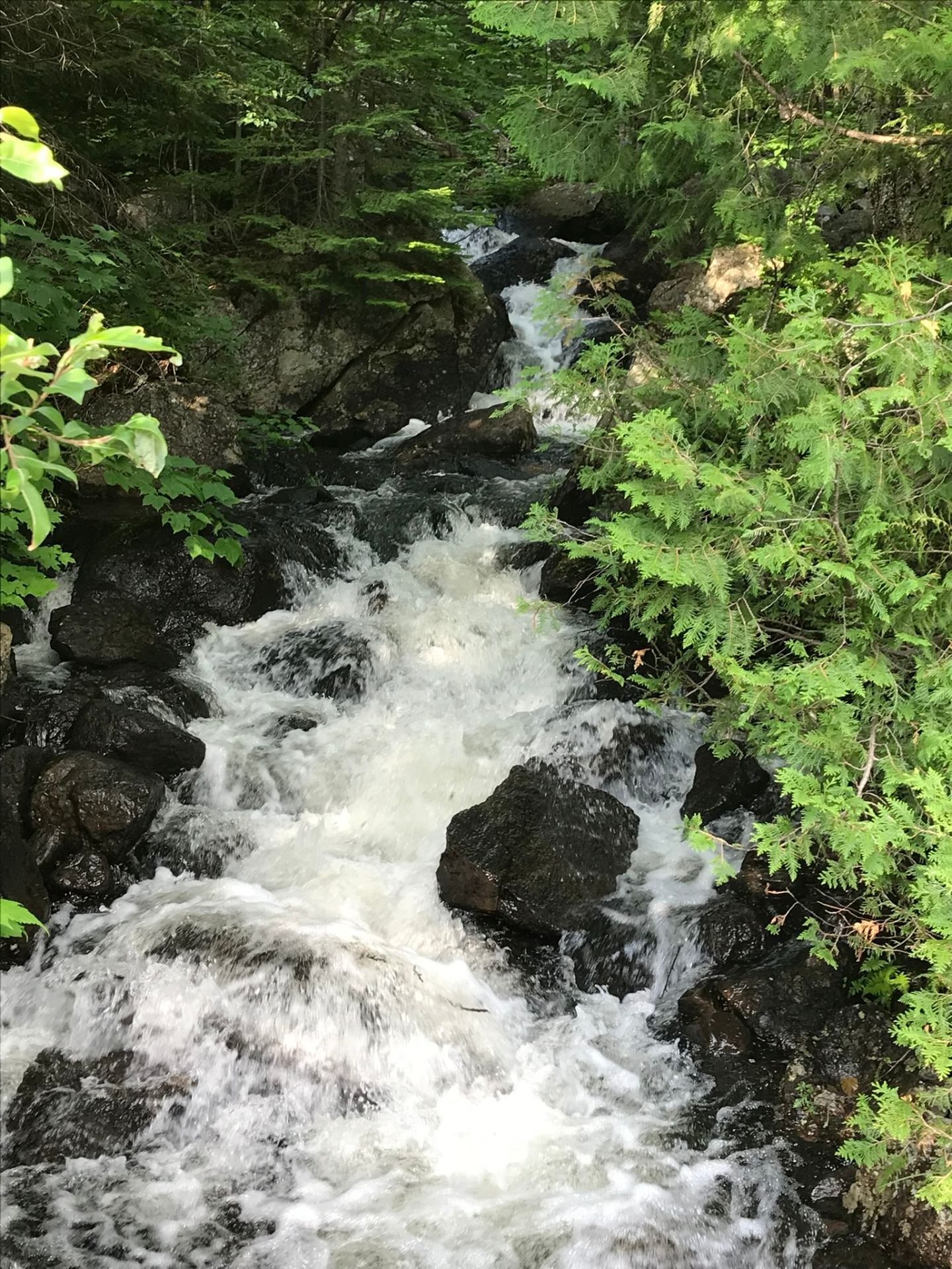 Chutes sur le terrain