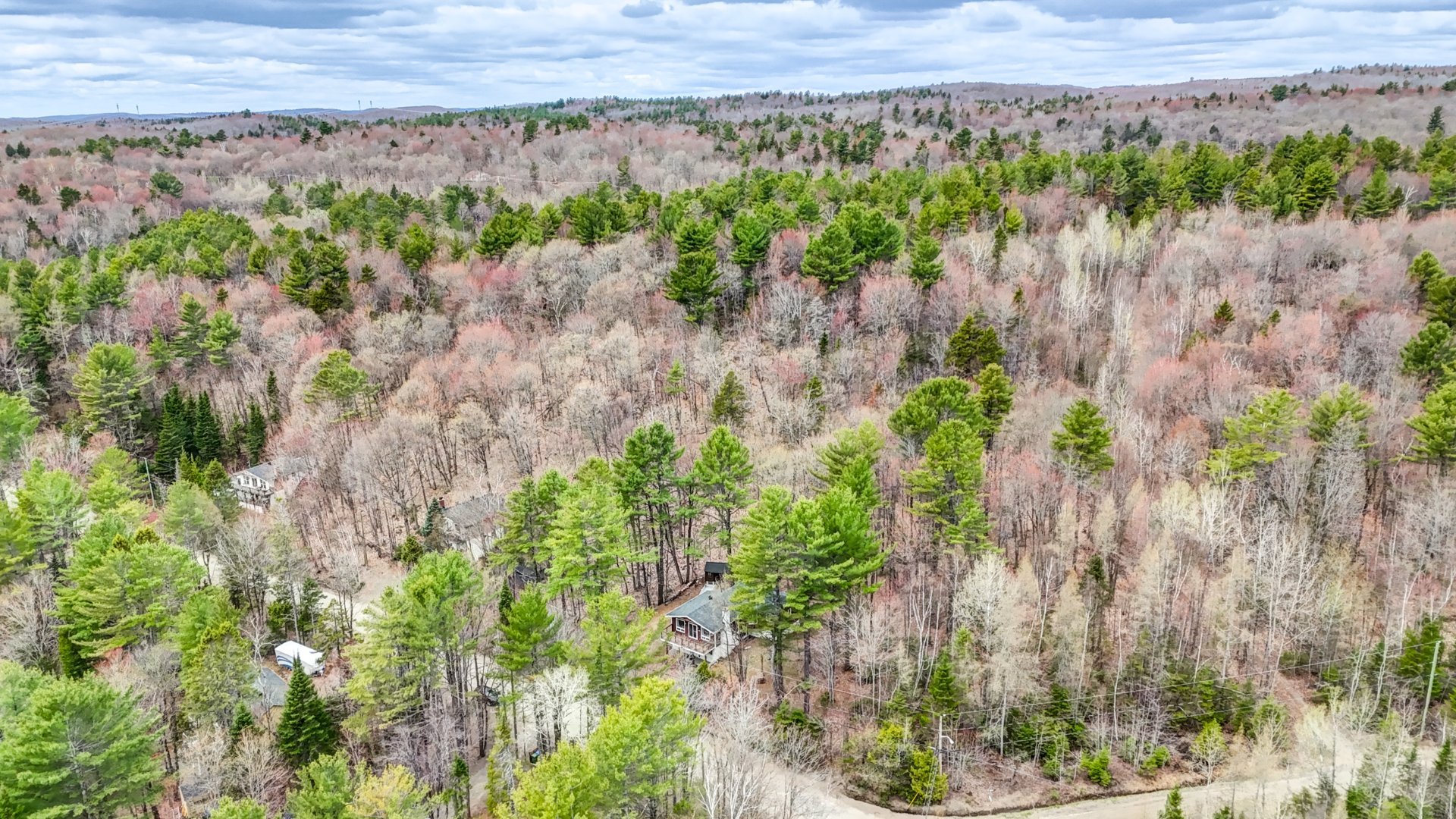 Aerial photo