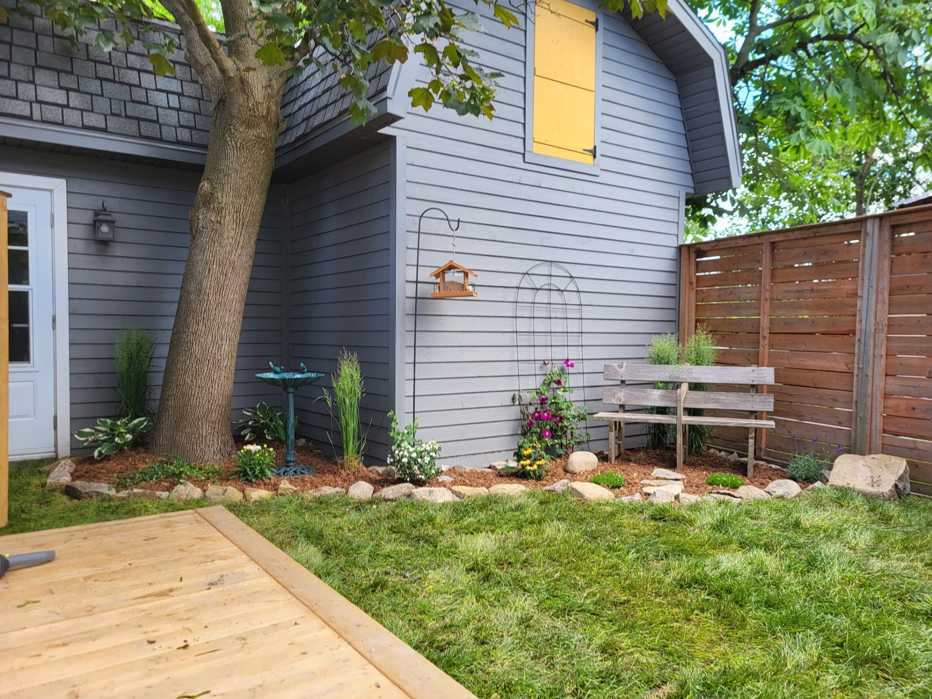 Backyard