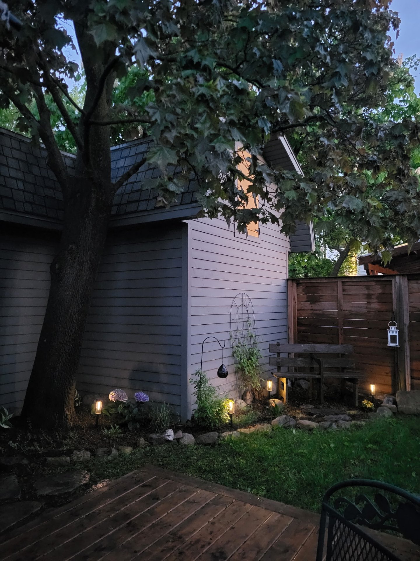Backyard