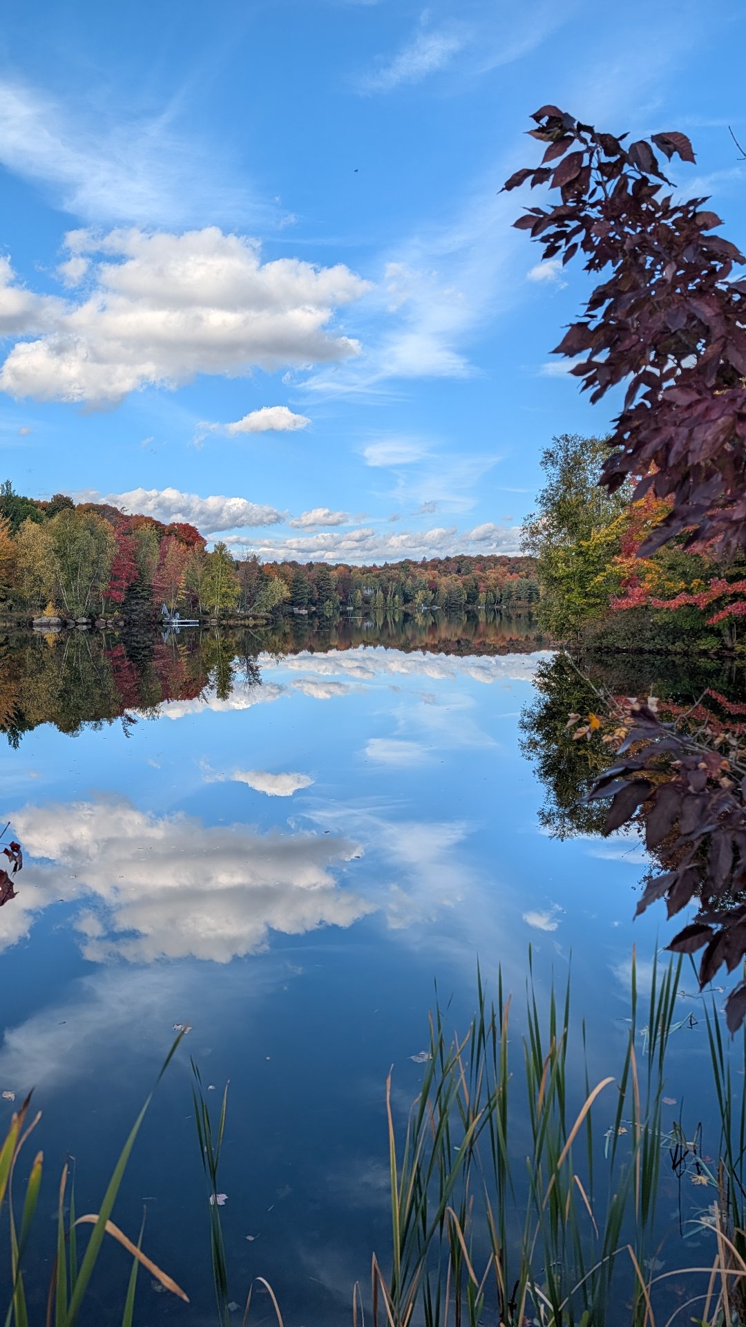 Lac Parent