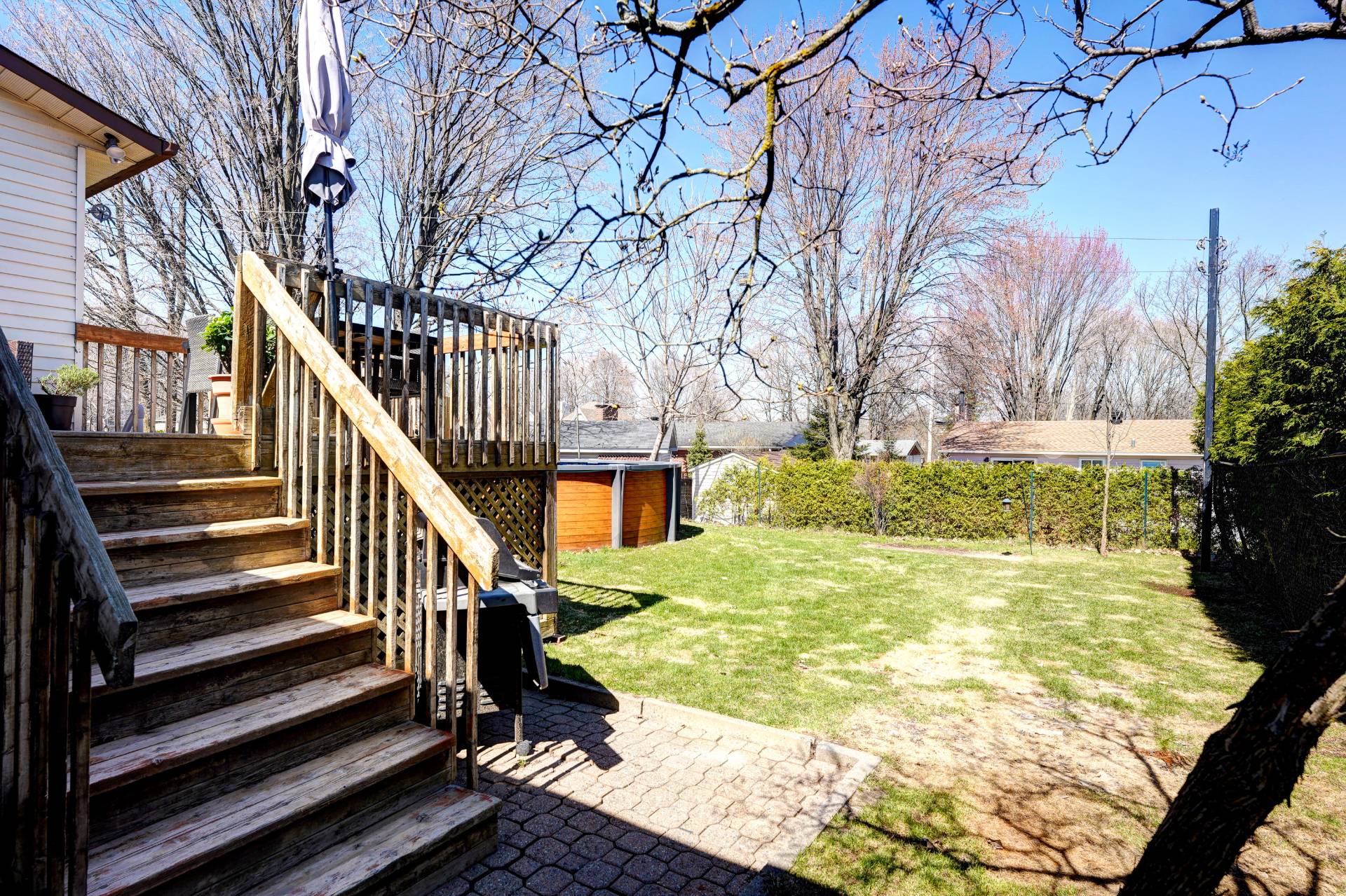 Backyard