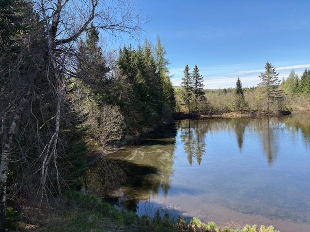 Access to a body of water