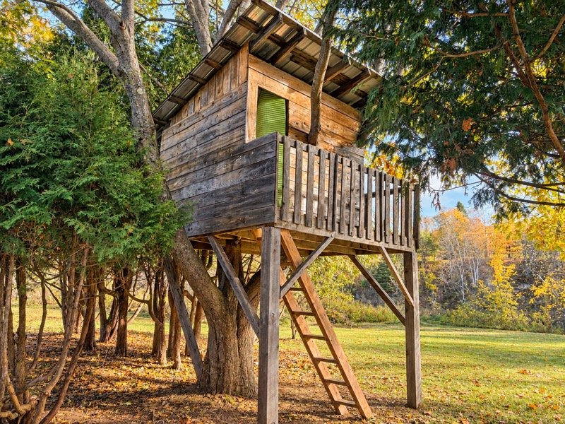 Cabane dans les arbres
