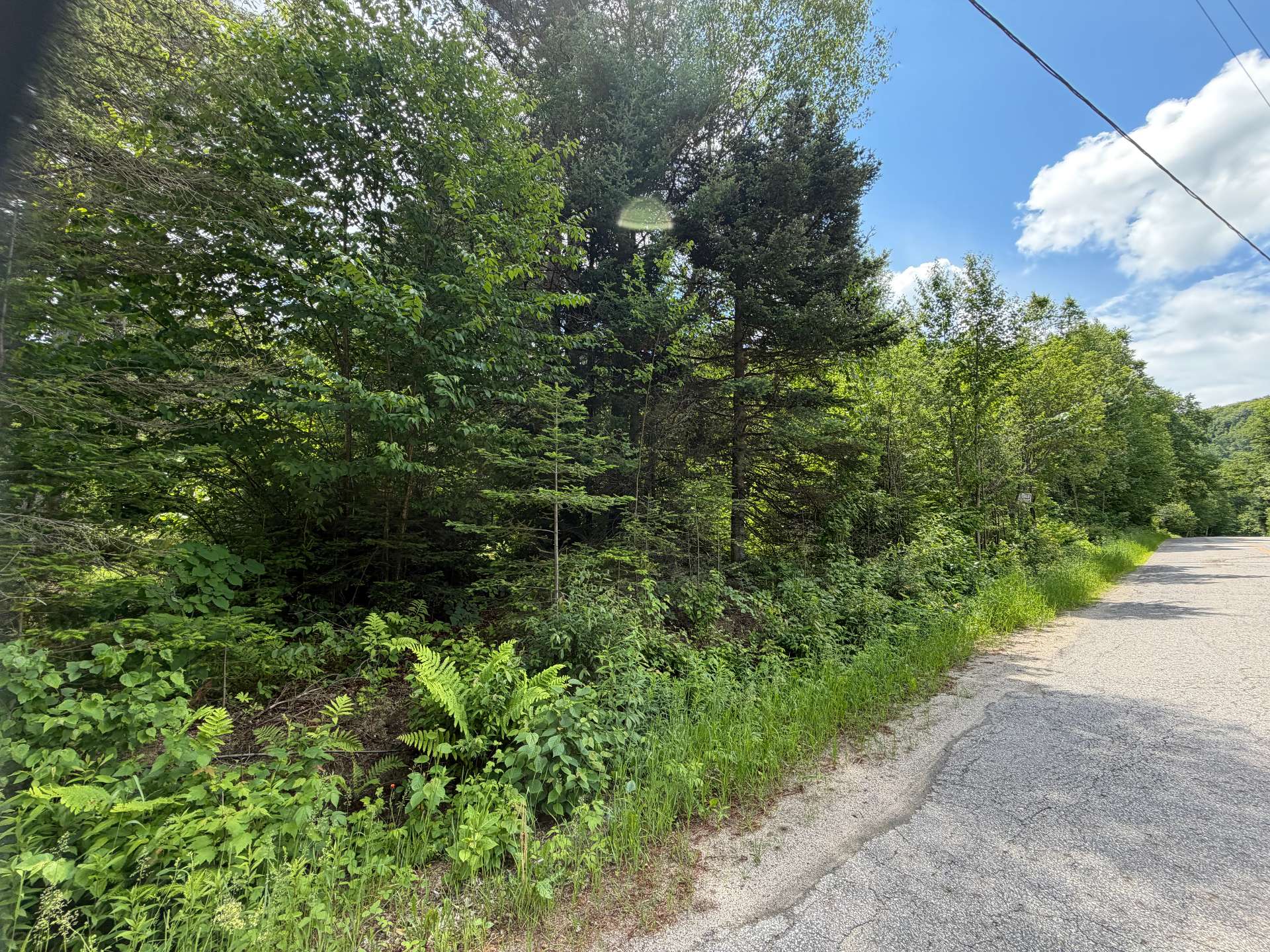 Overall View