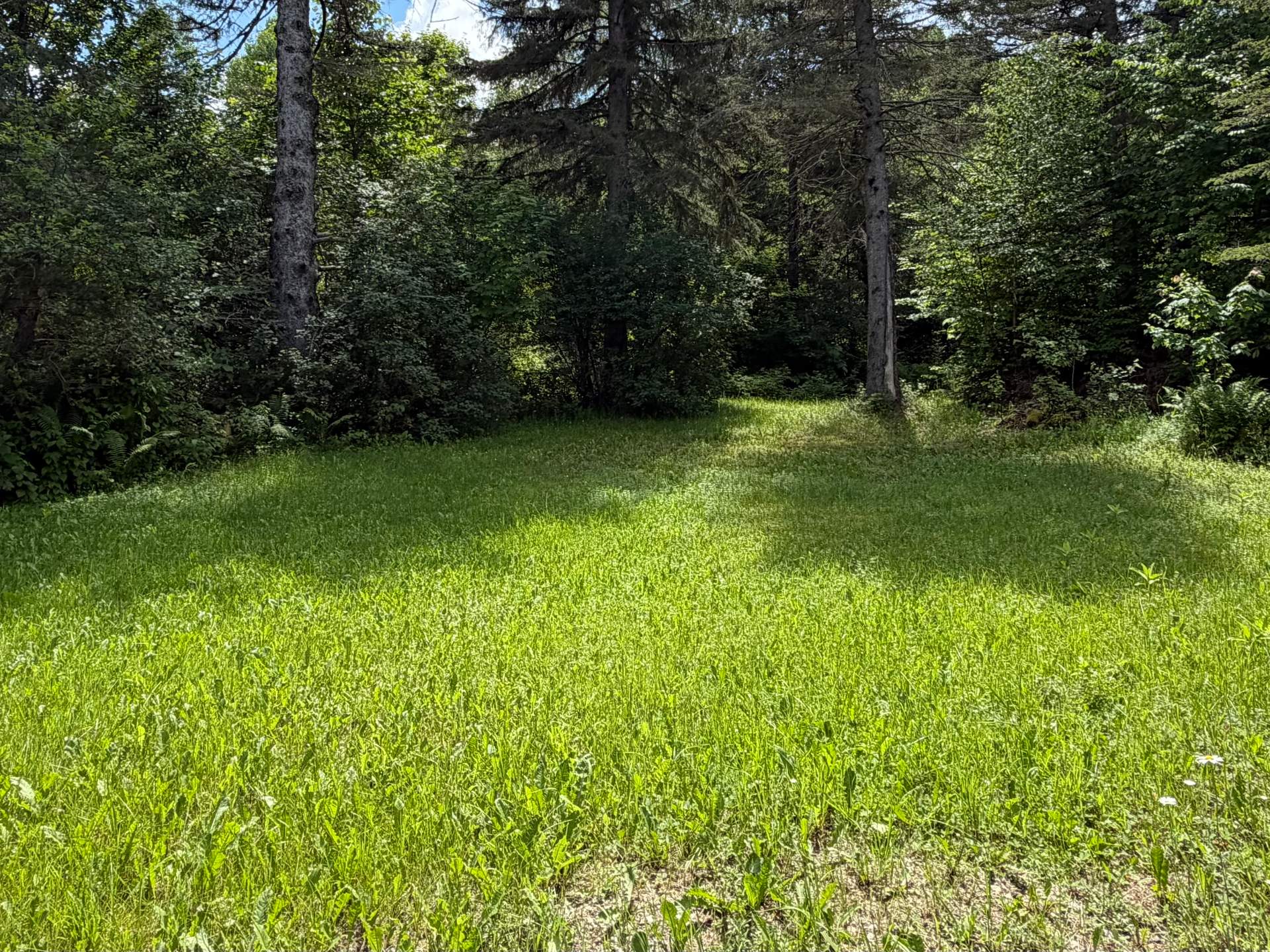 Land/Lot