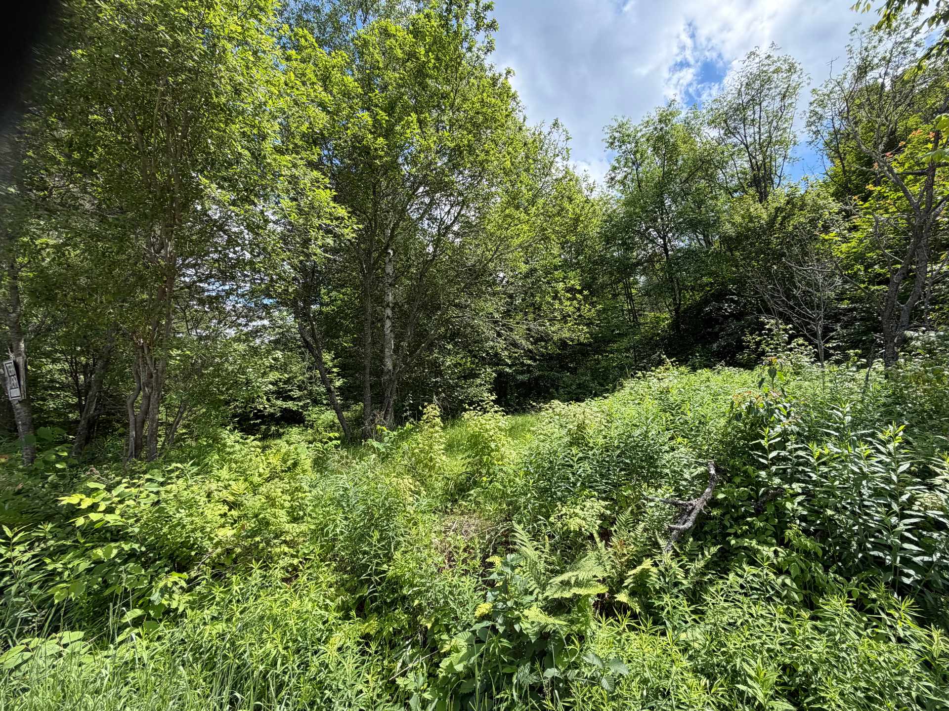 Land/Lot