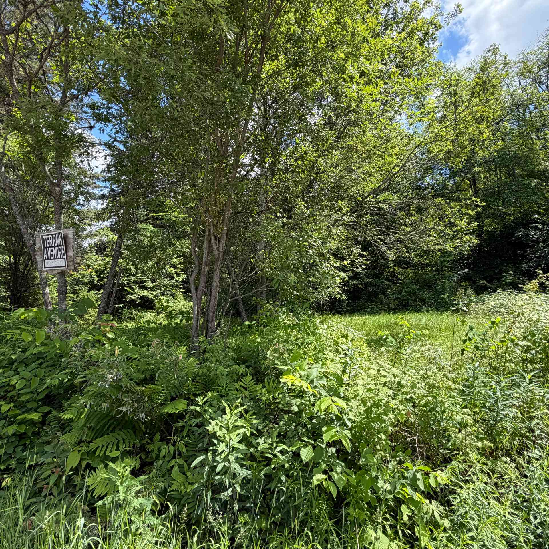 Land/Lot