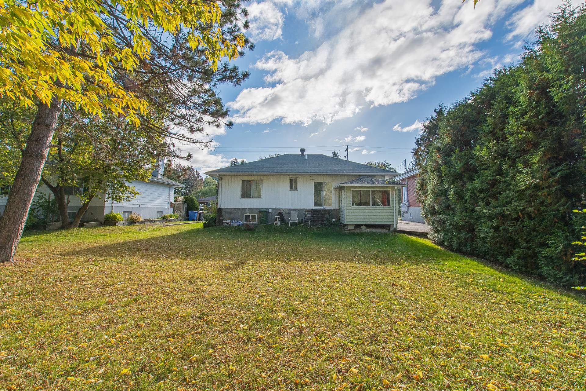 Cour