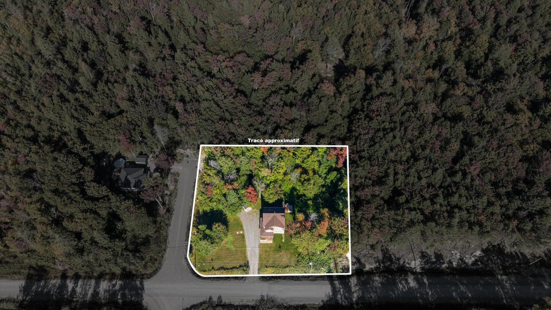 Aerial photo