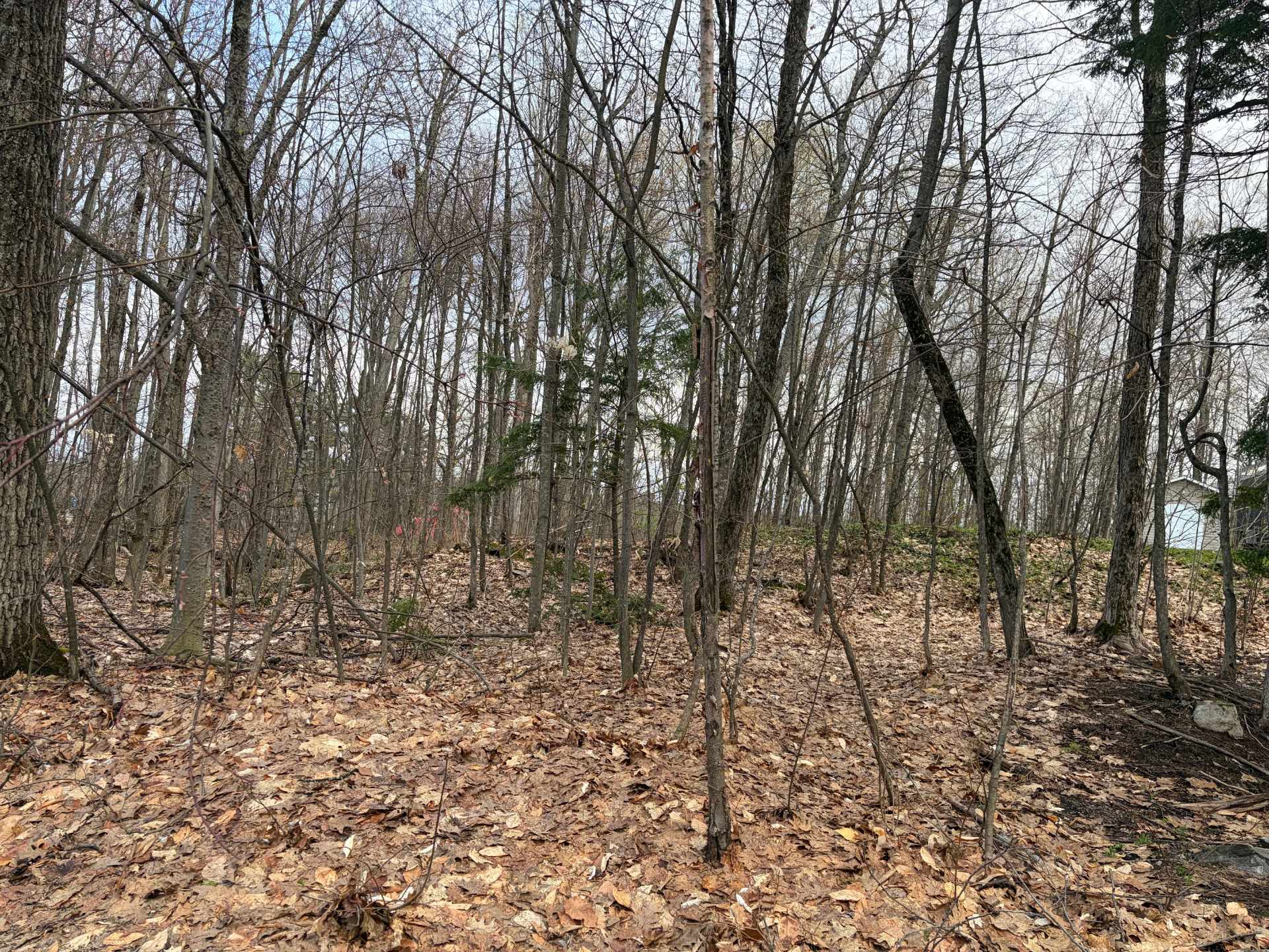 Land/Lot