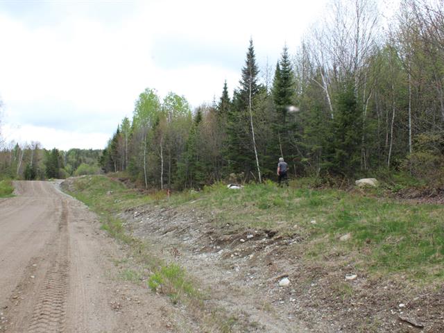Terre/Terrain