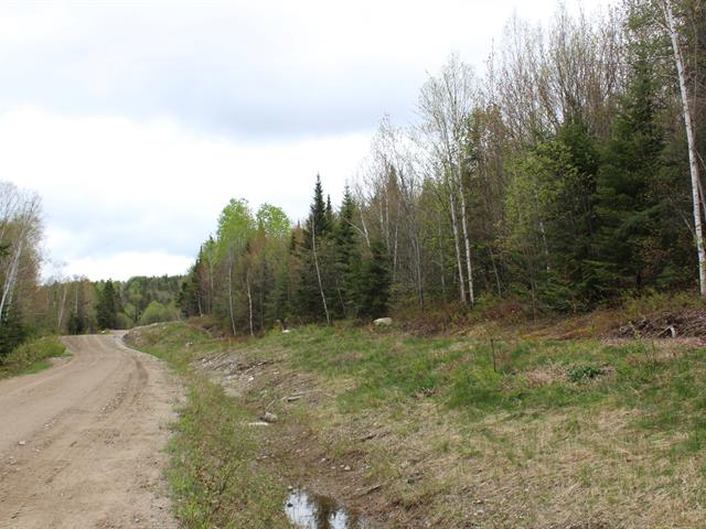 Terre/Terrain