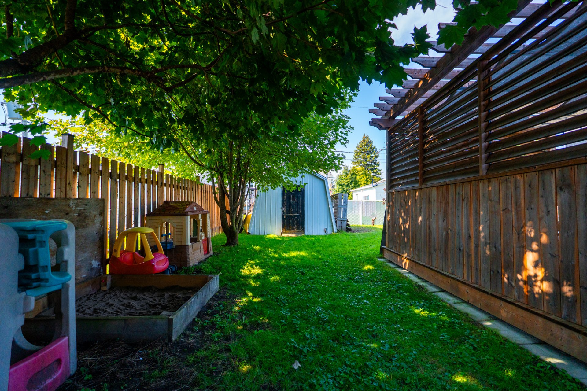 Backyard