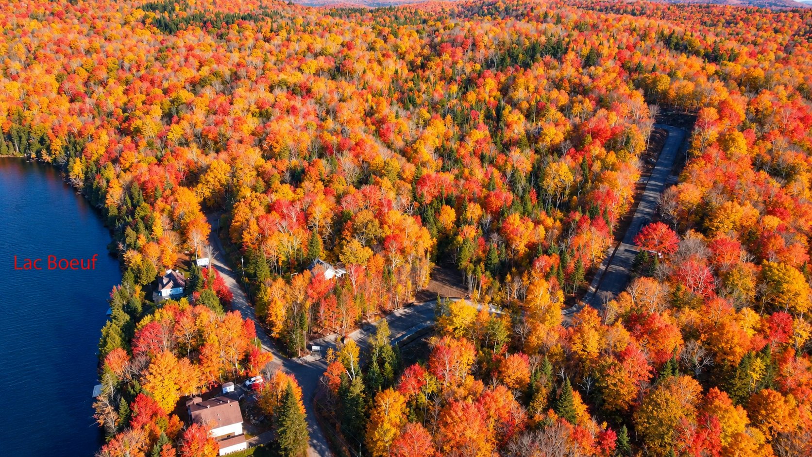 Vue d'ensemble