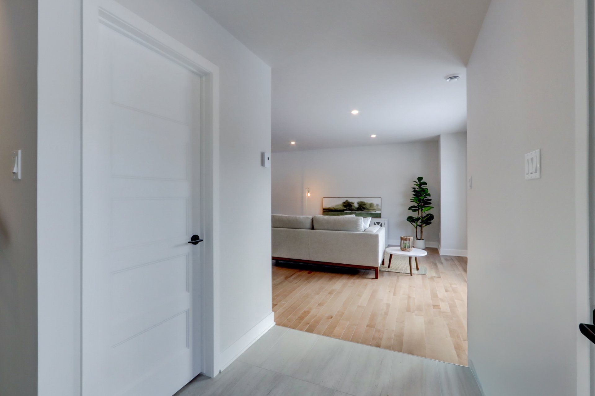 Hall d'entrée/Vestibule