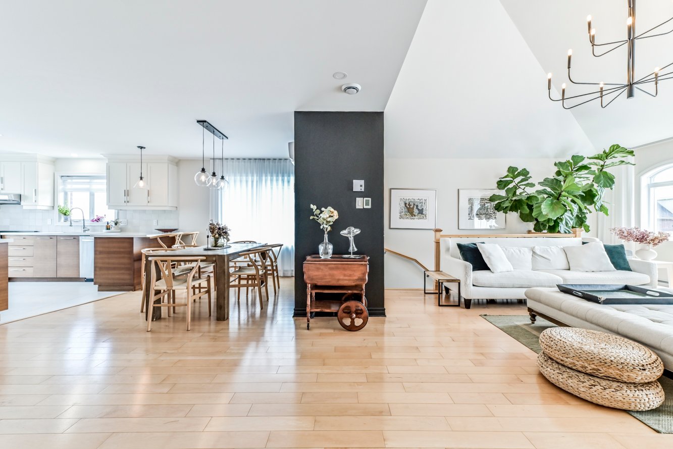 Aire de vie ouverte et lumineuse