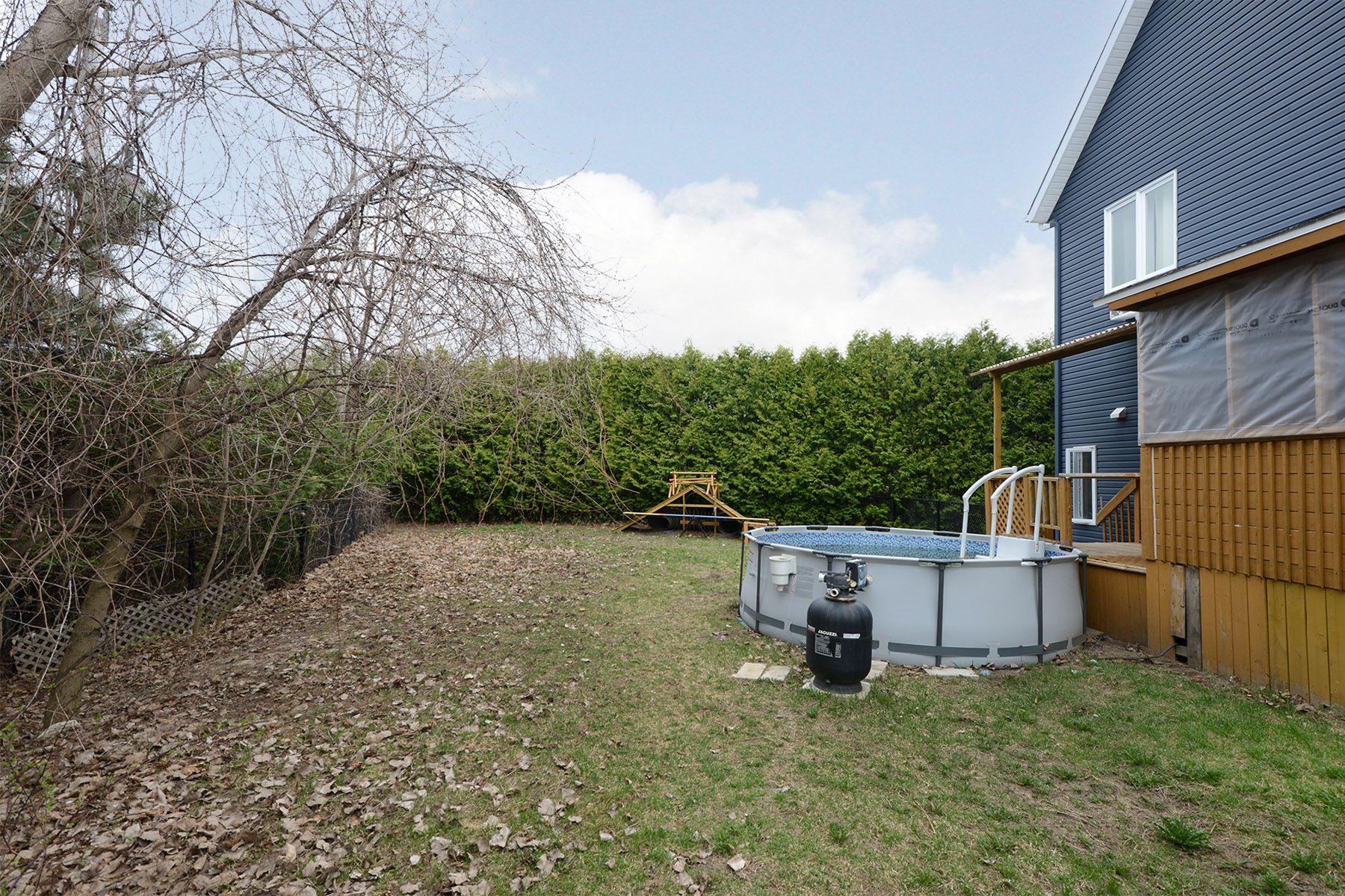 Backyard