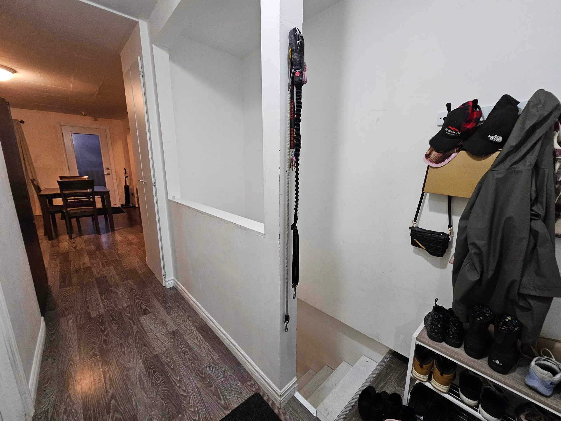 Hall d'entrée/Vestibule