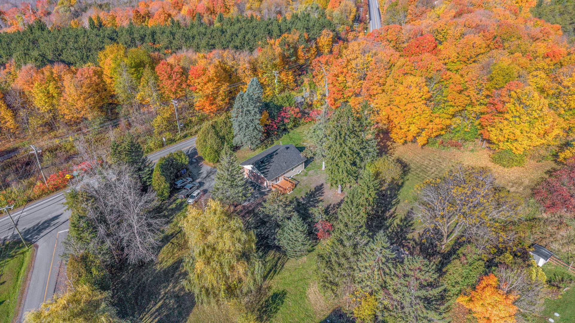 Aerial photo