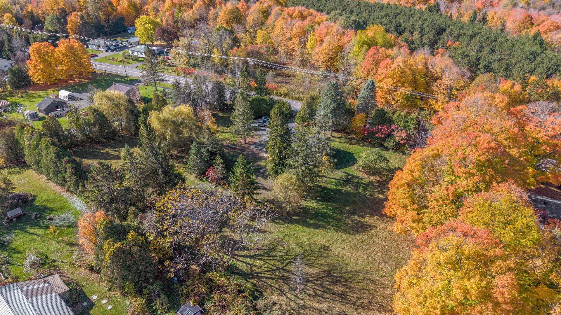Aerial photo