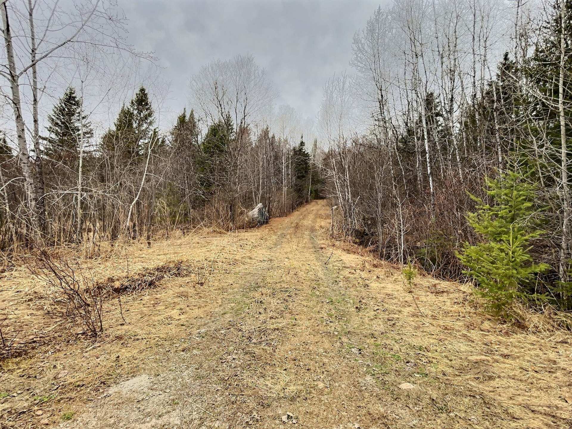 Land/Lot