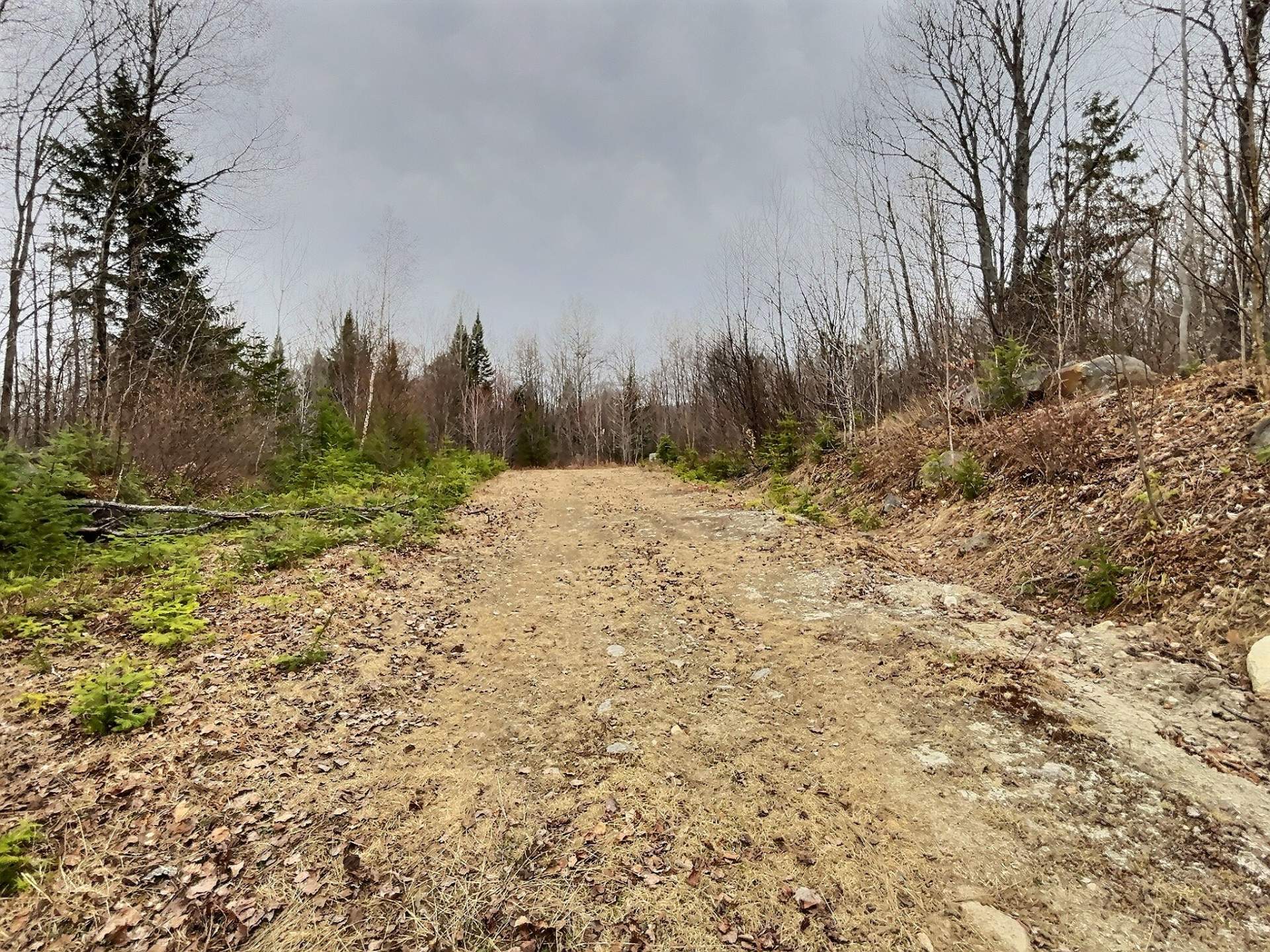 Land/Lot