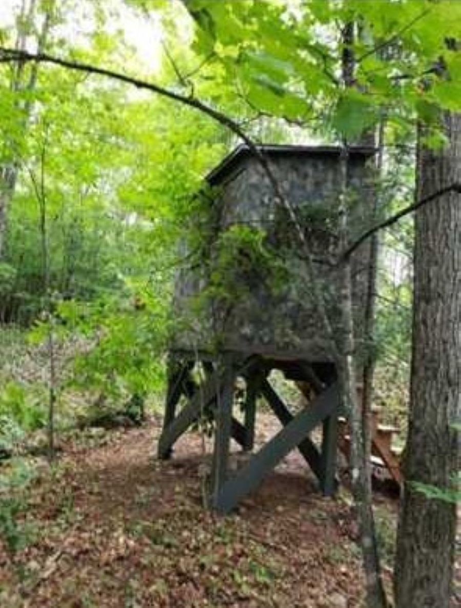 Cache de chasse