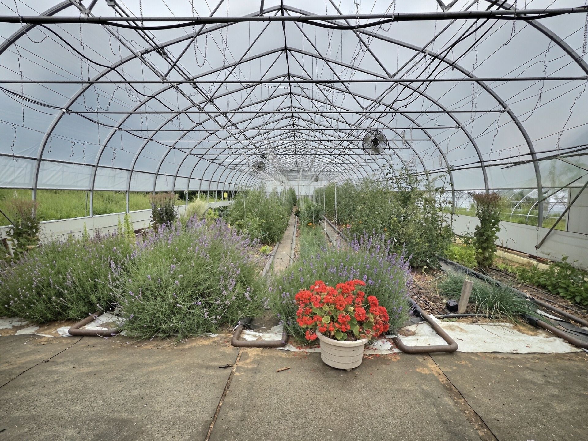 150x30