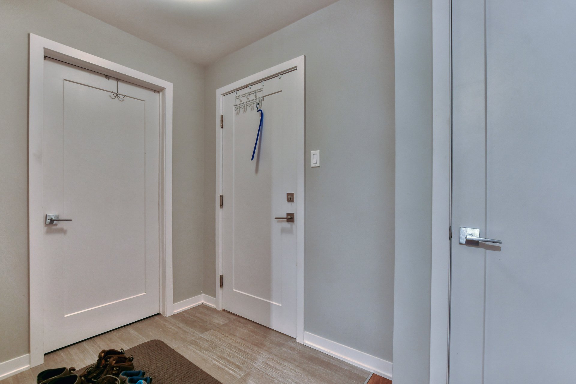 Hall d'entrée/Vestibule