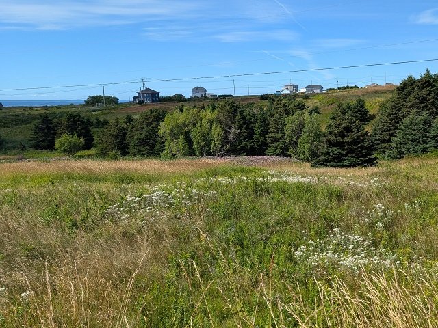 arrière côté sud ouest