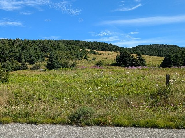 arrière côté sud ouest