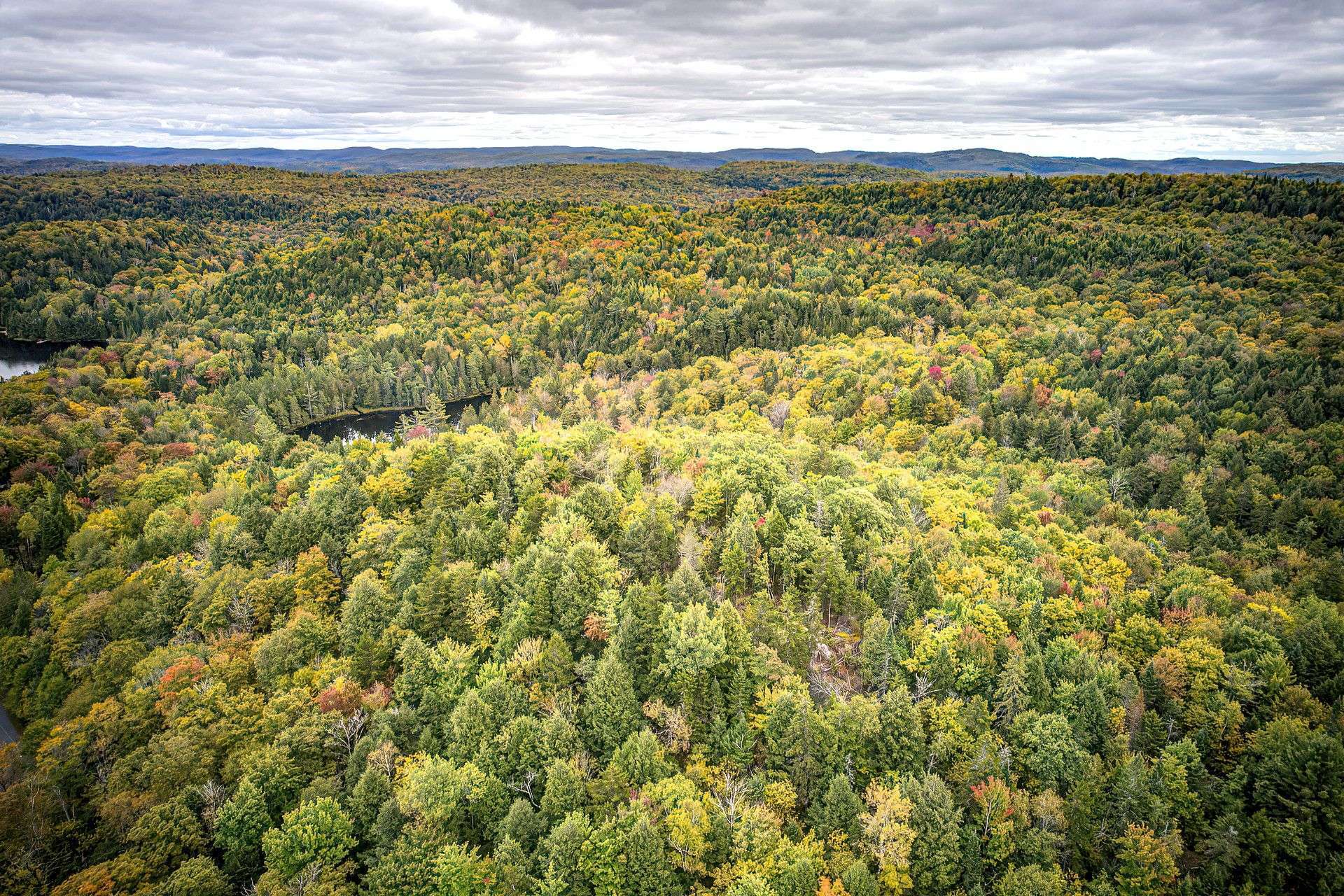 Aerial photo