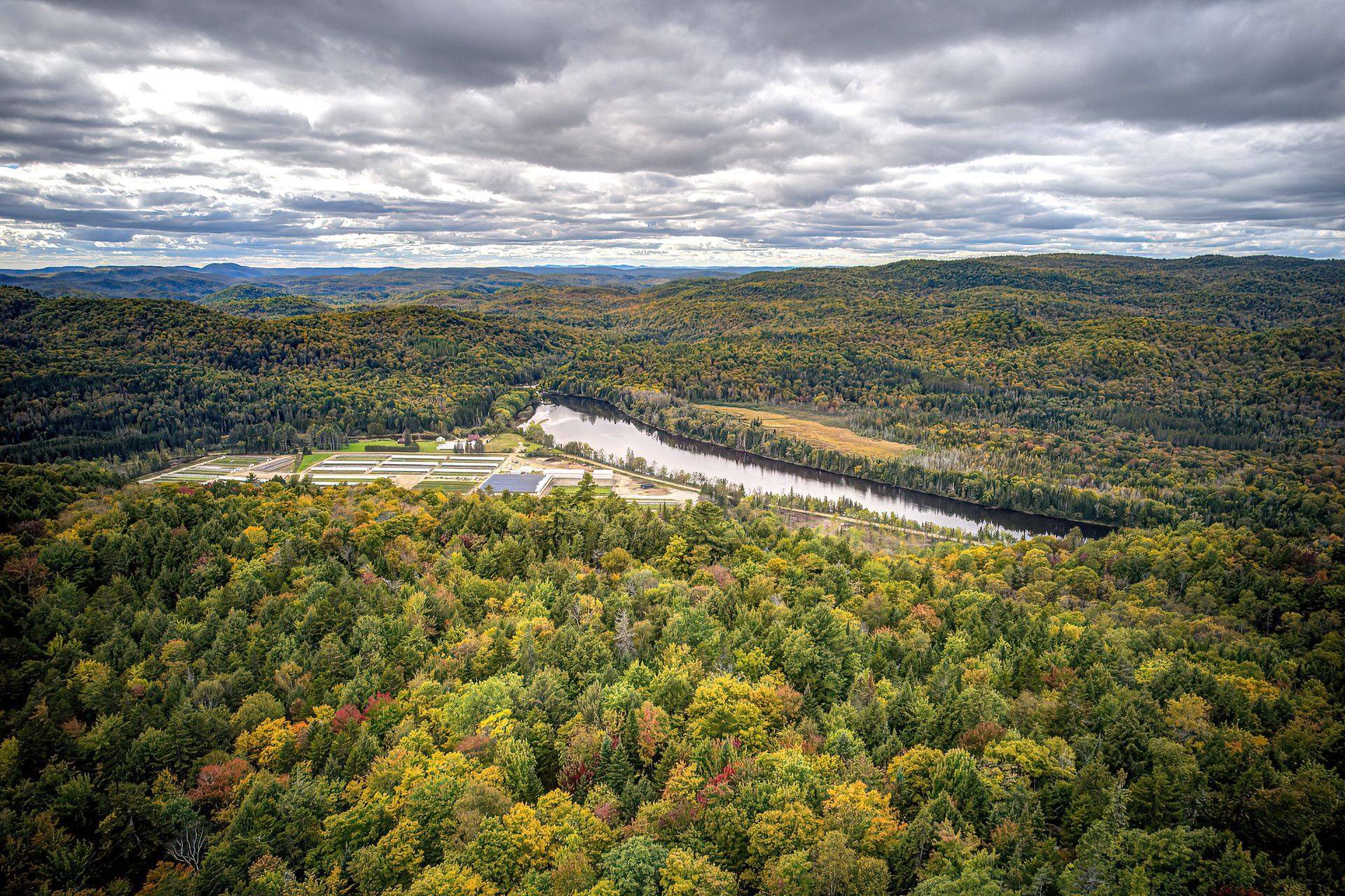 Aerial photo