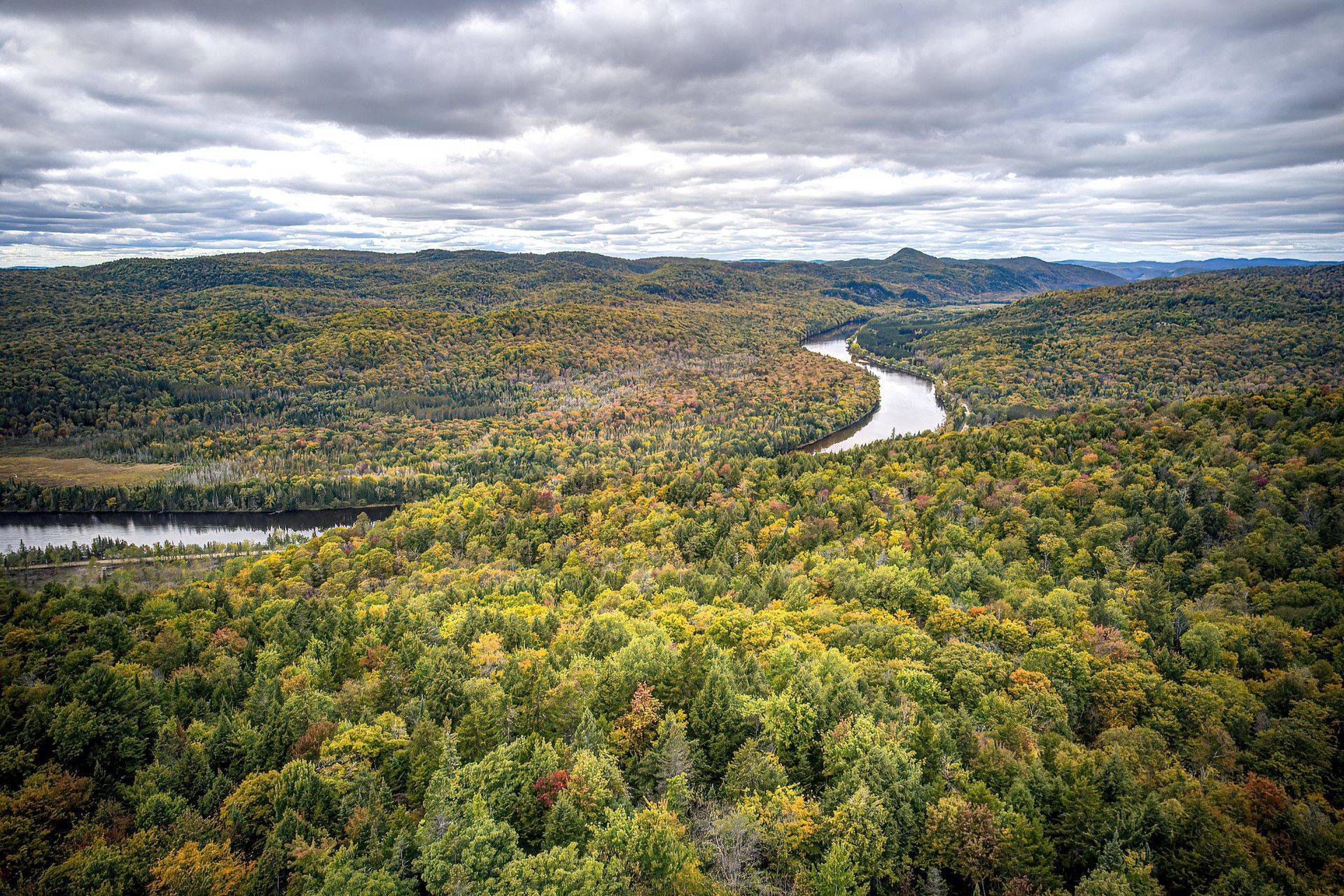 Aerial photo