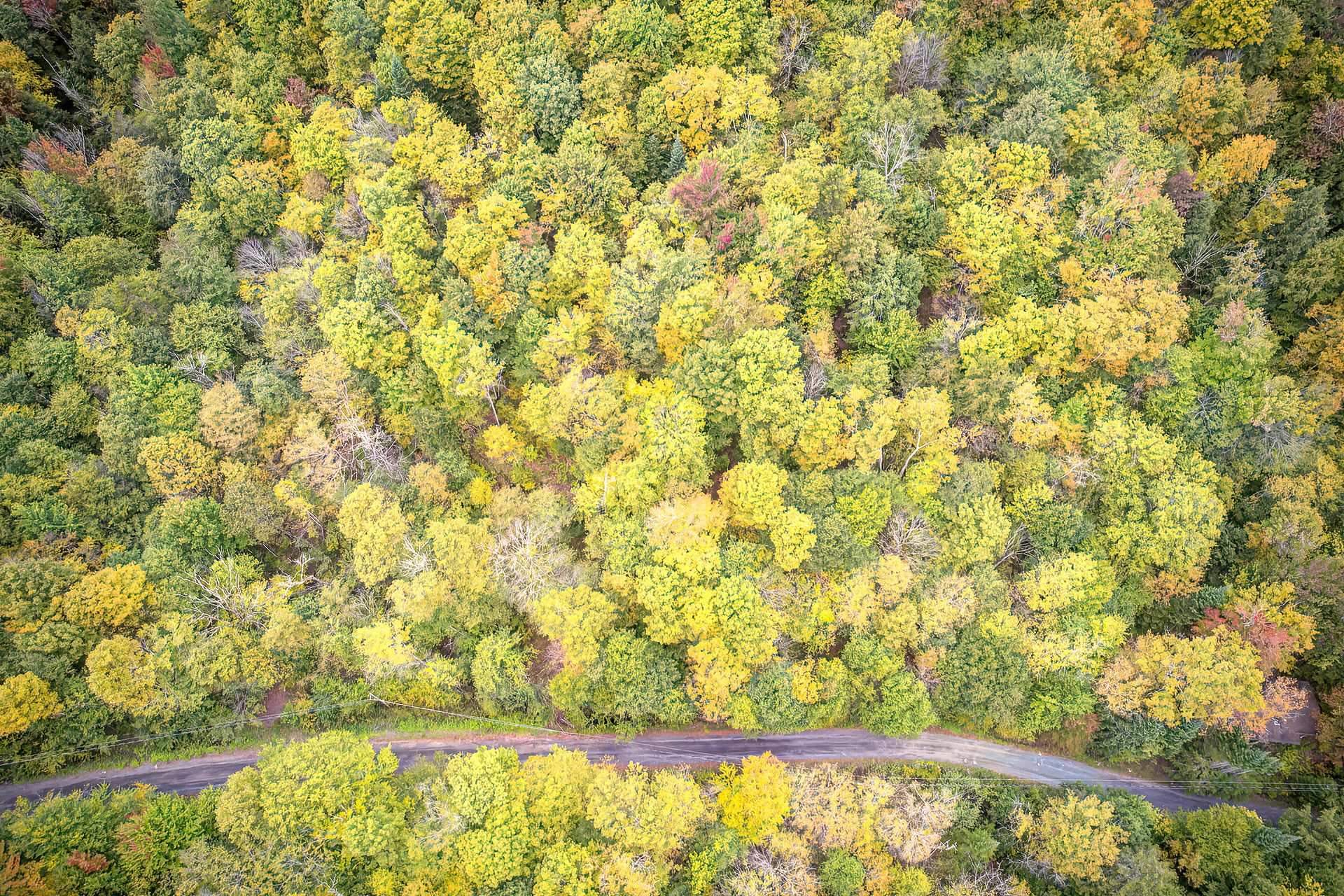 Aerial photo