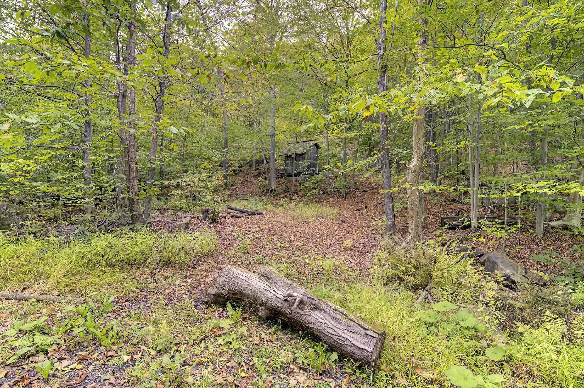 Land/Lot