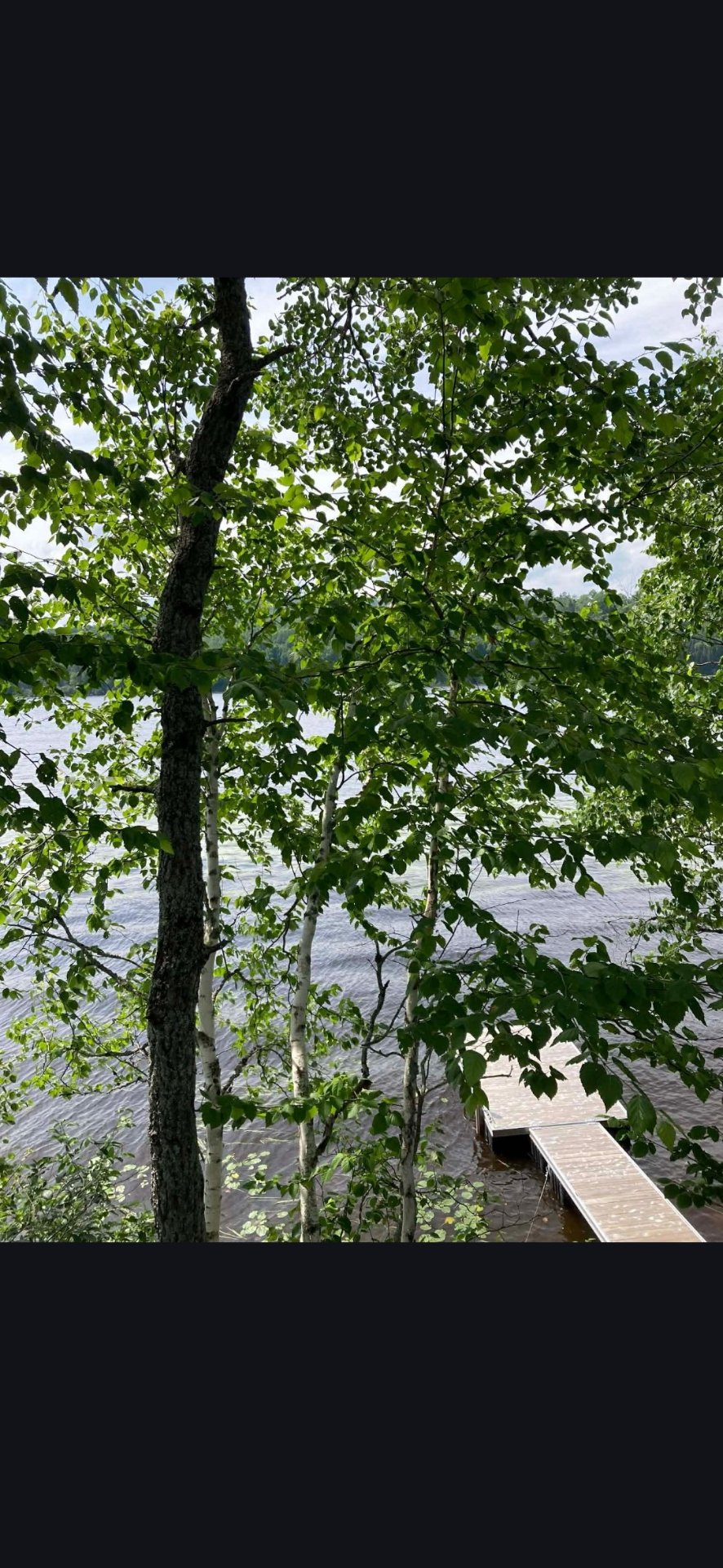 Water view
