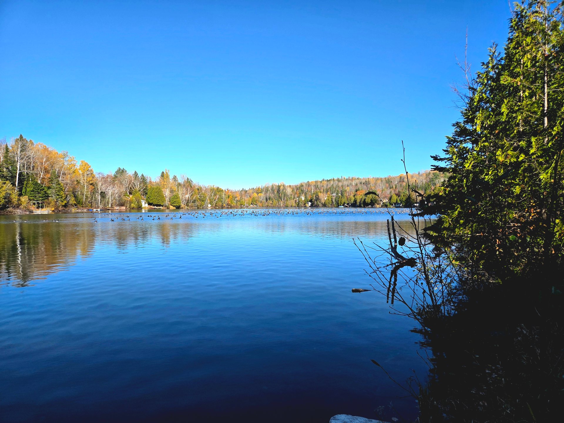 Vue sur l'eau