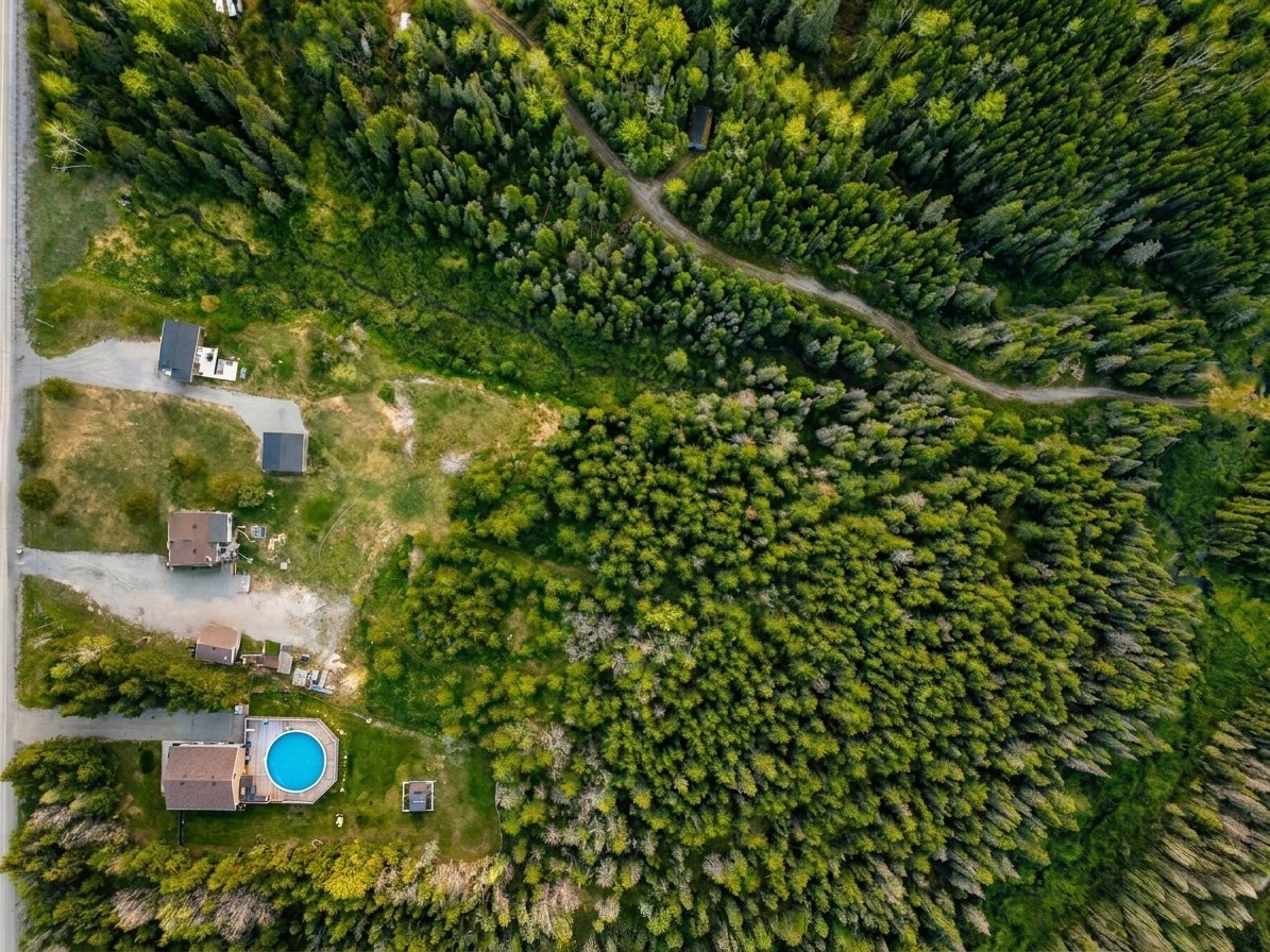 Aerial photo