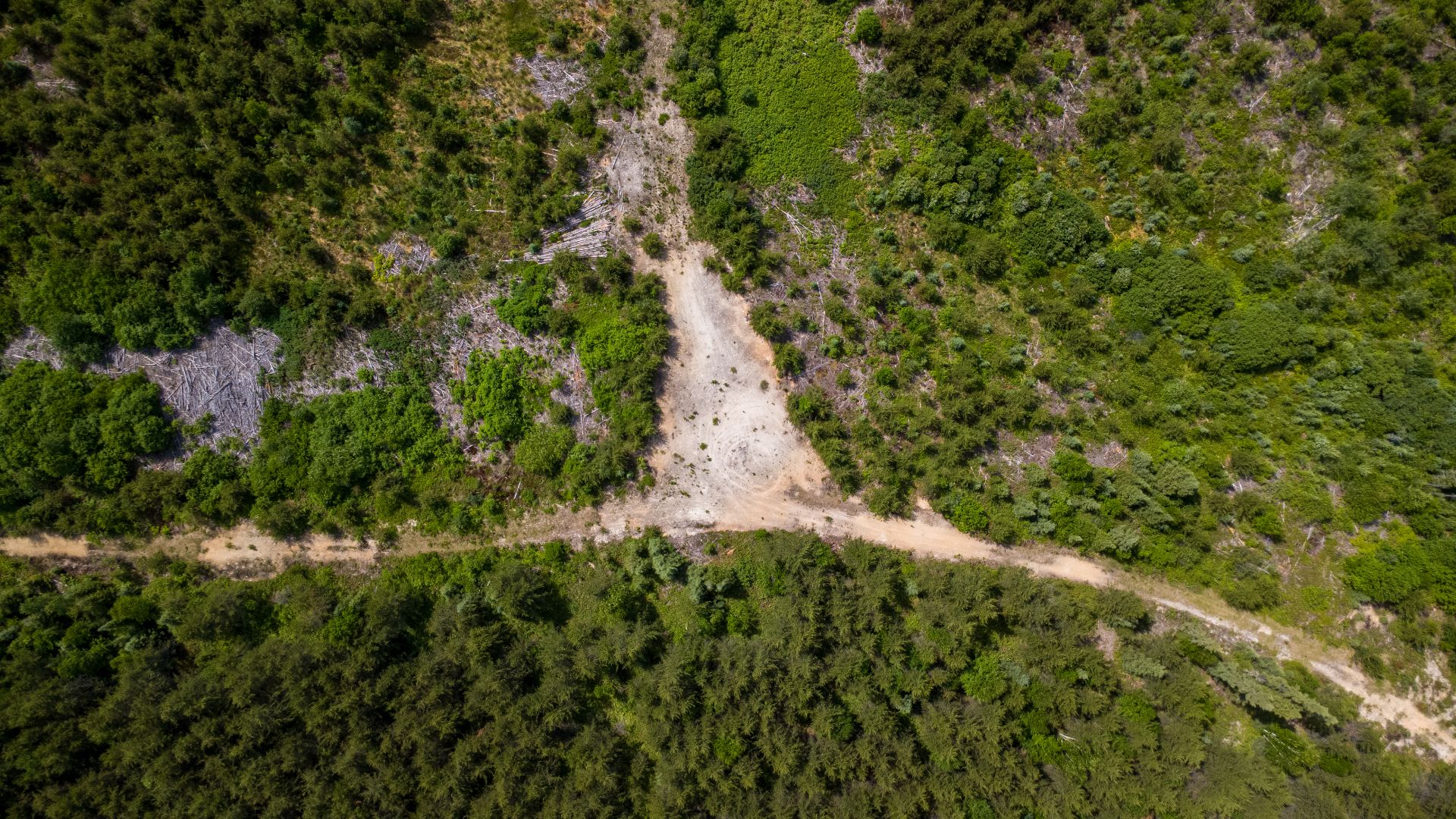 Aerial photo