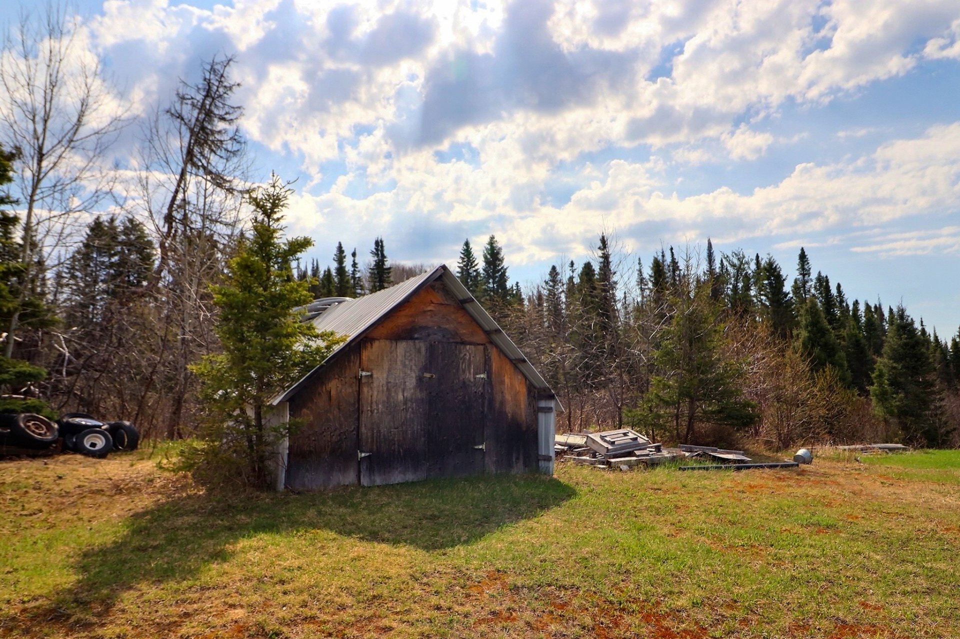 Backyard