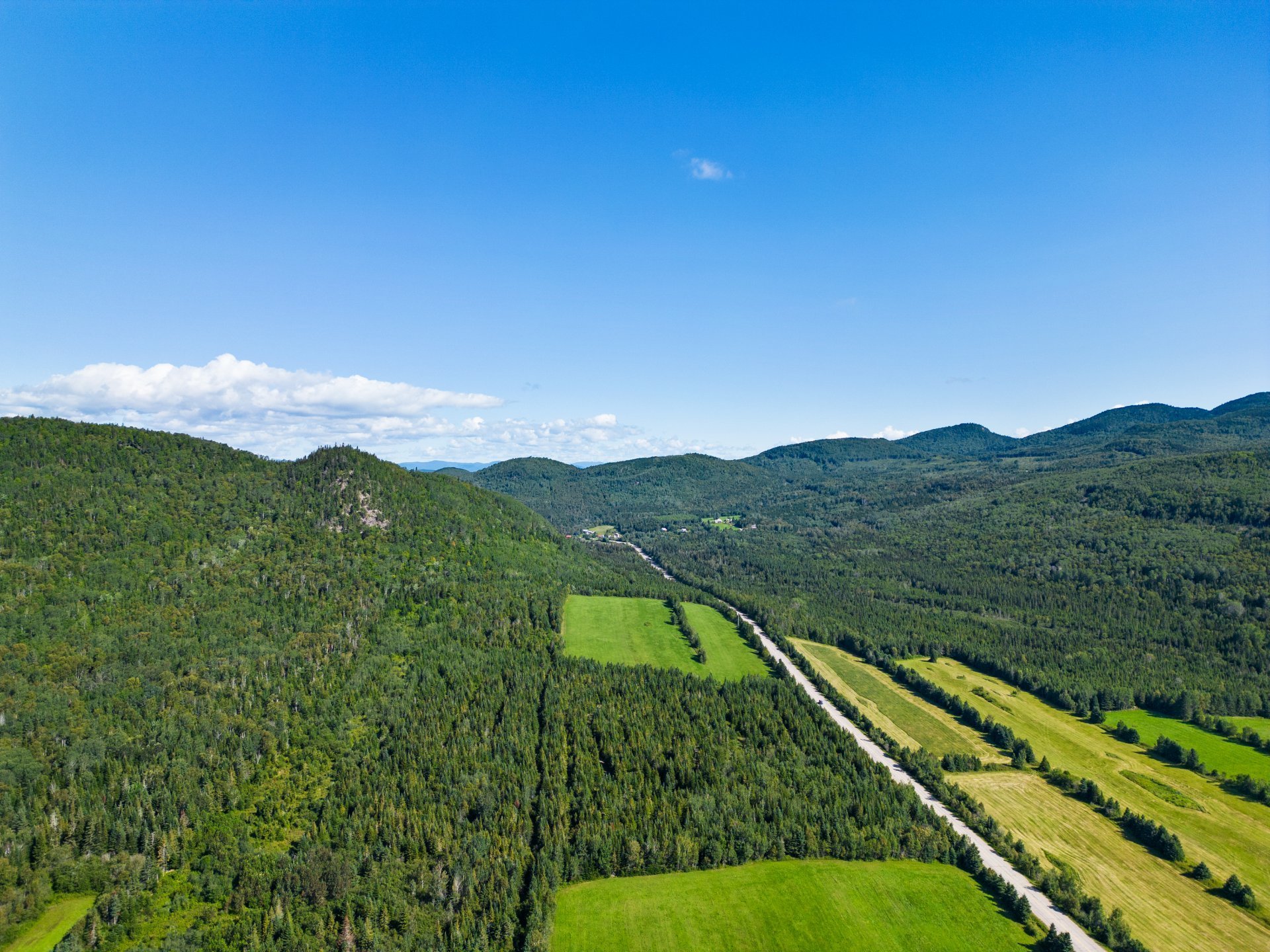 Vue d'ensemble