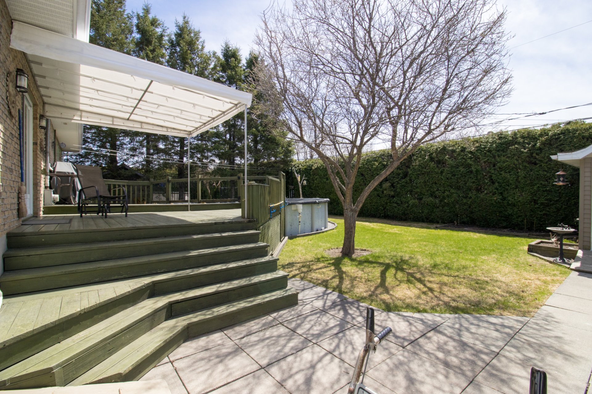 Backyard
