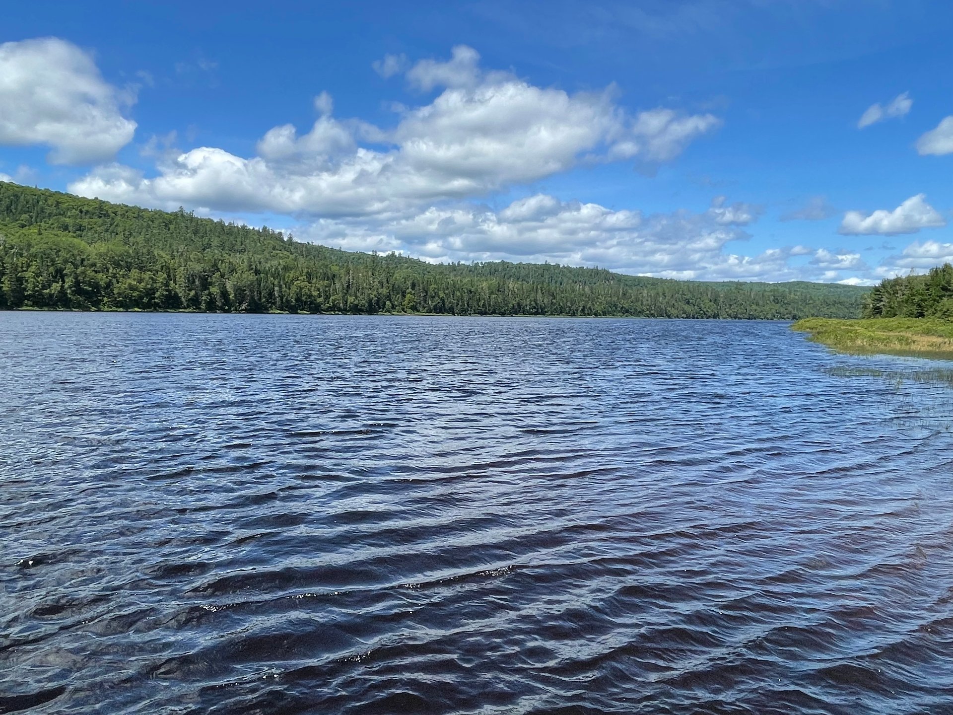 Vue sur l'eau