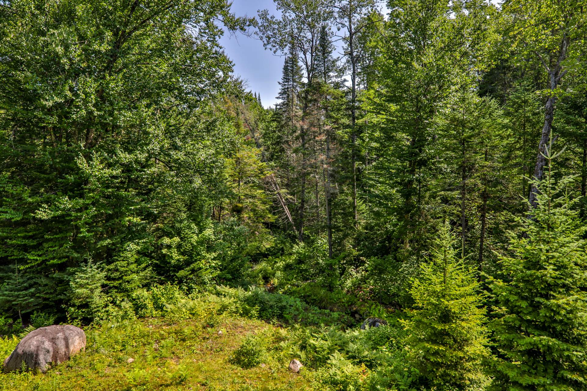 Land/Lot