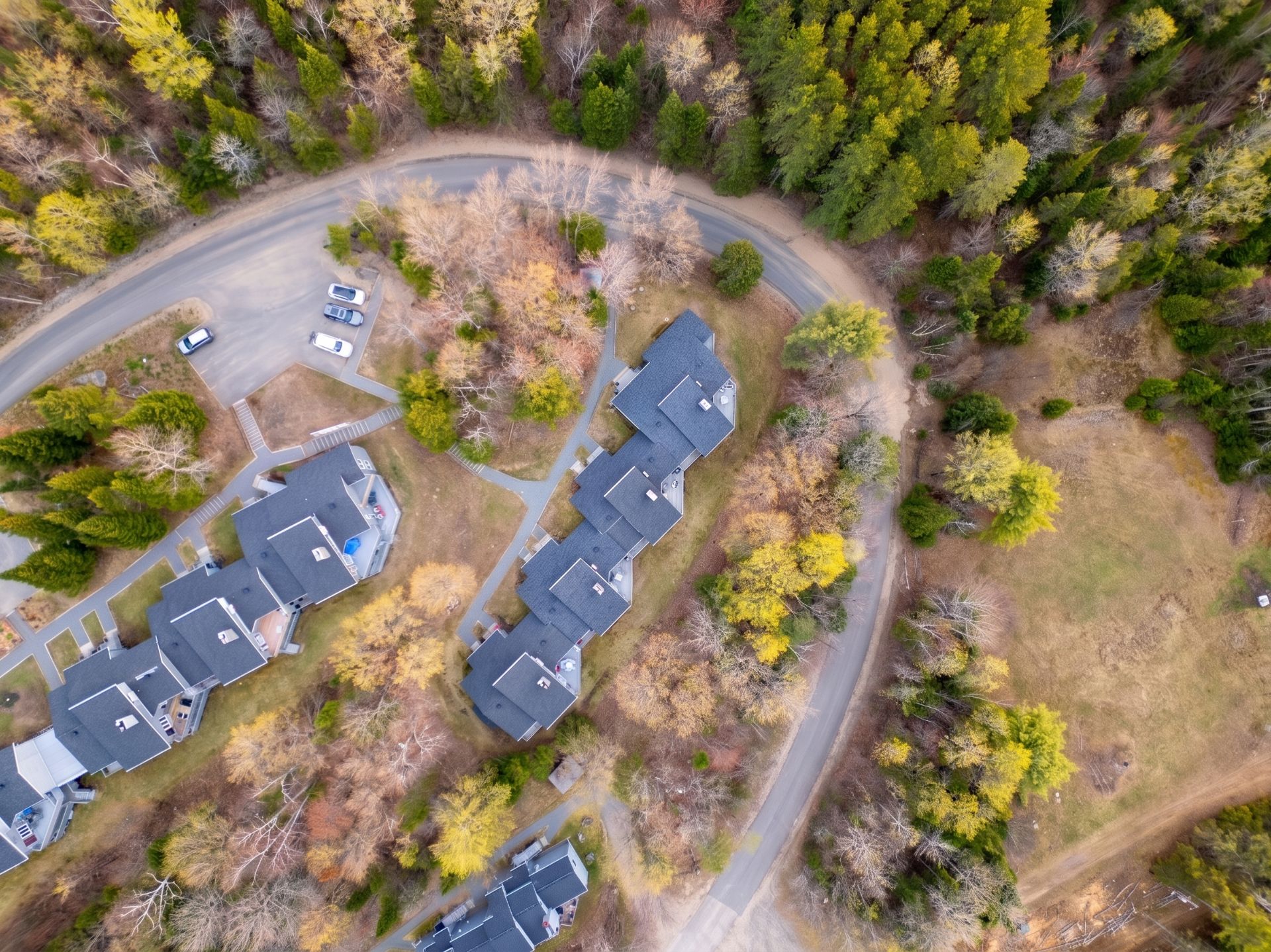 Aerial photo