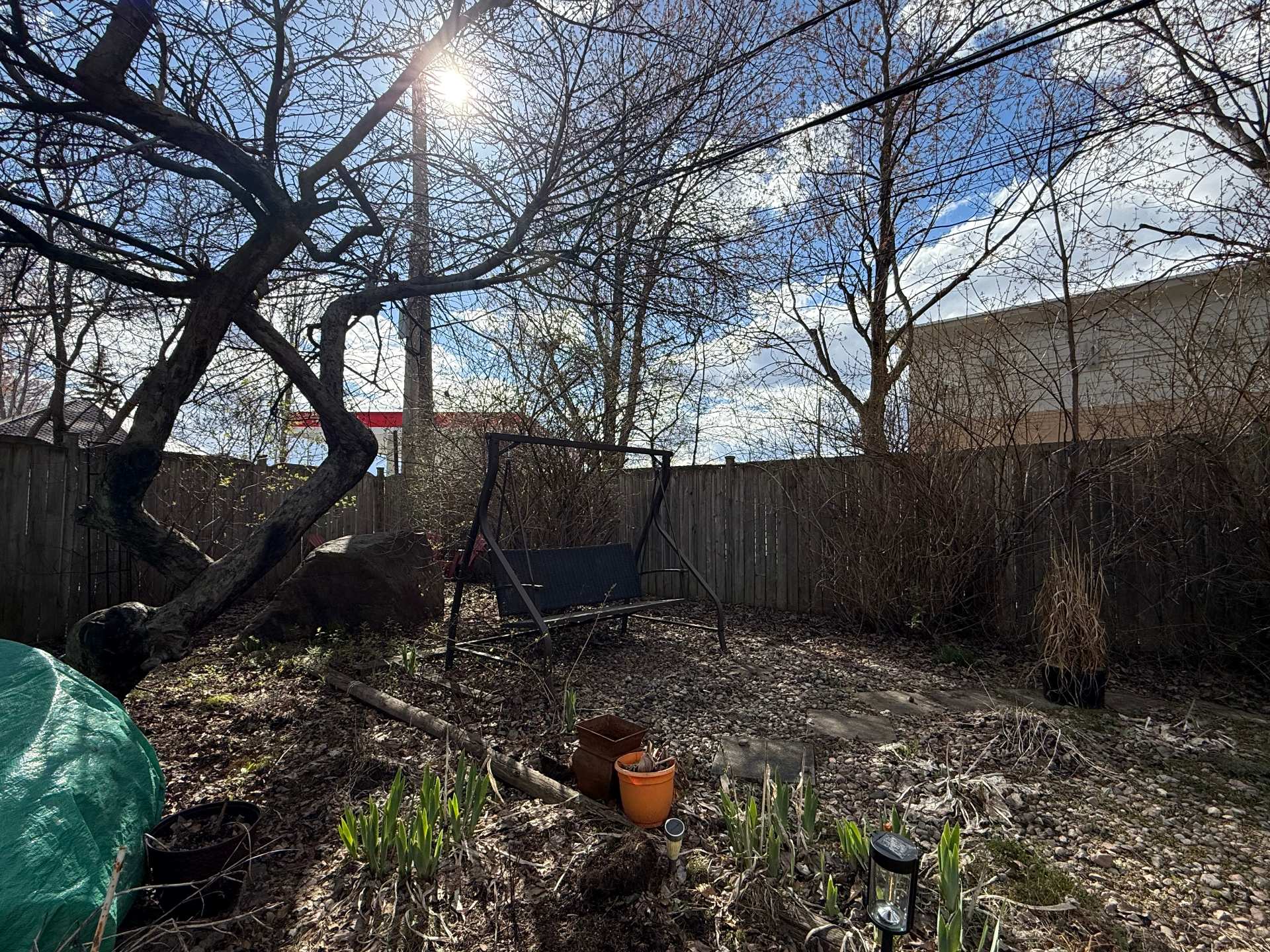 Backyard